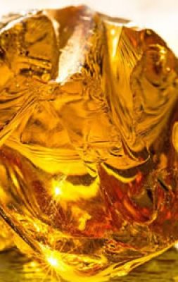 amber (1)